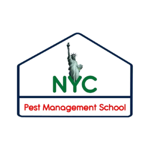 30 Hours Training Course